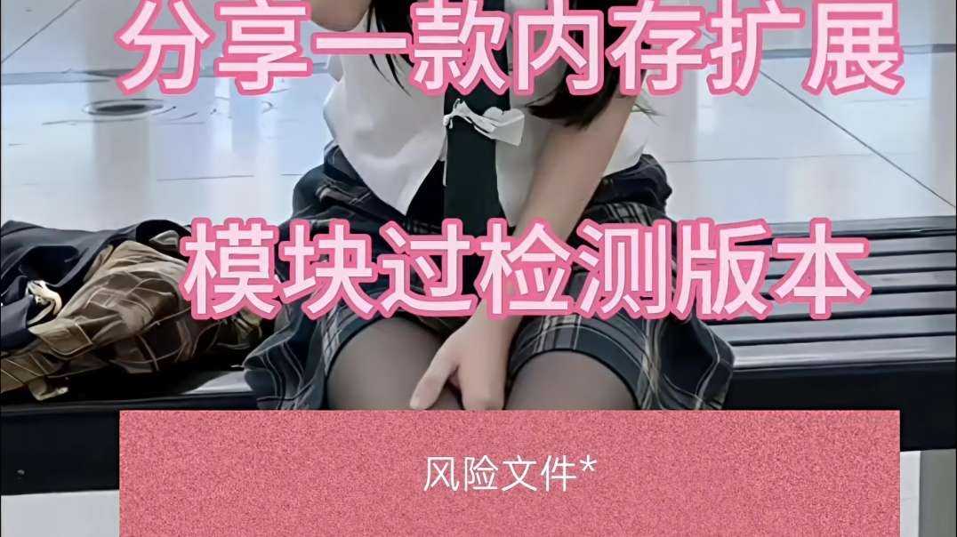 分享一款内存扩展模块过检测版本